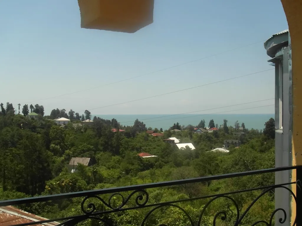 Alex Guest House Батуми